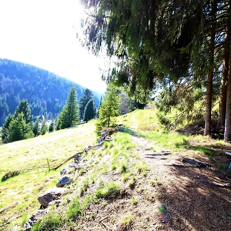 Ihre Gemuetliche Oase Im Herzen Des Schwarzwaldes *